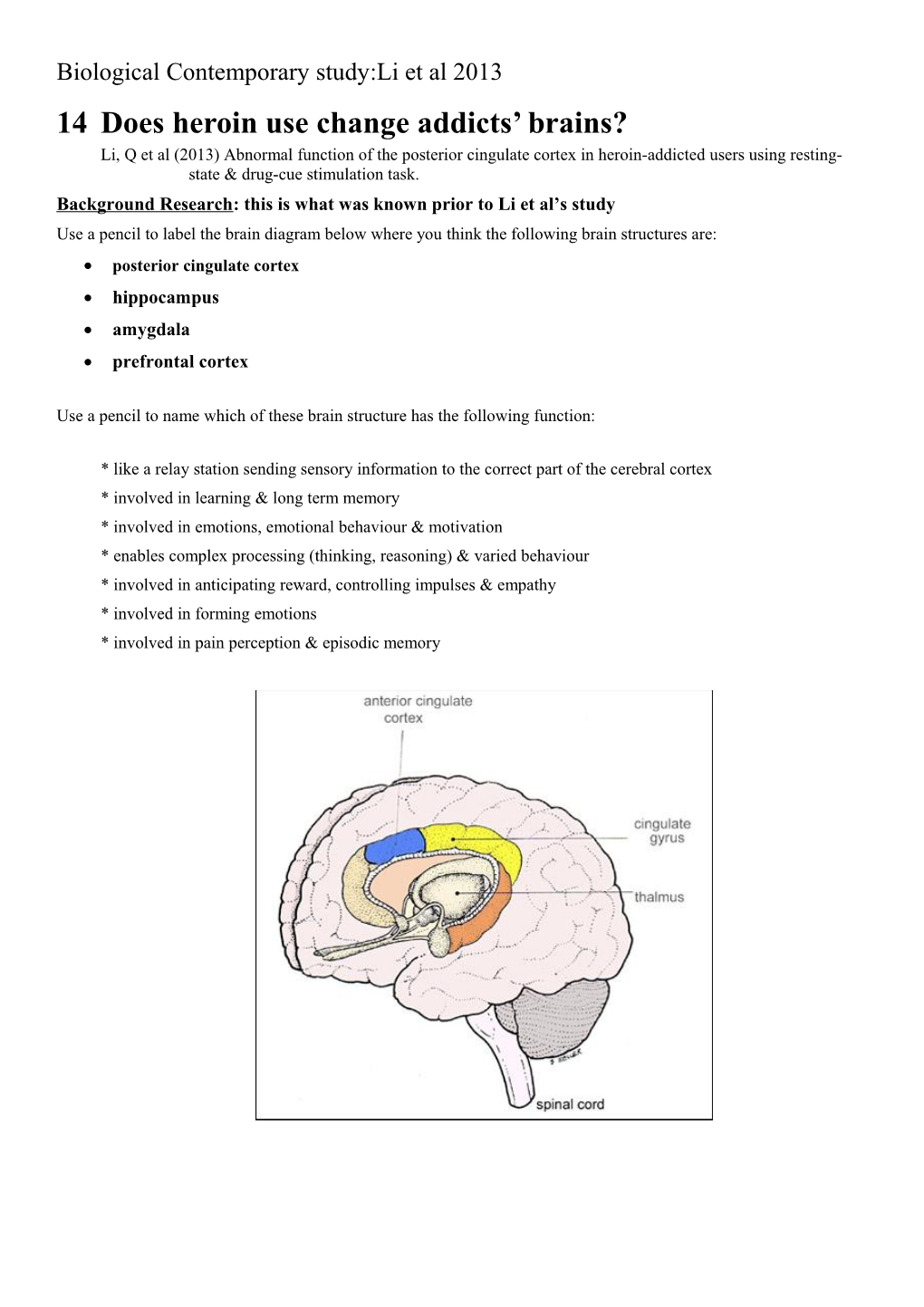 Brain Abnormalities in Murderers