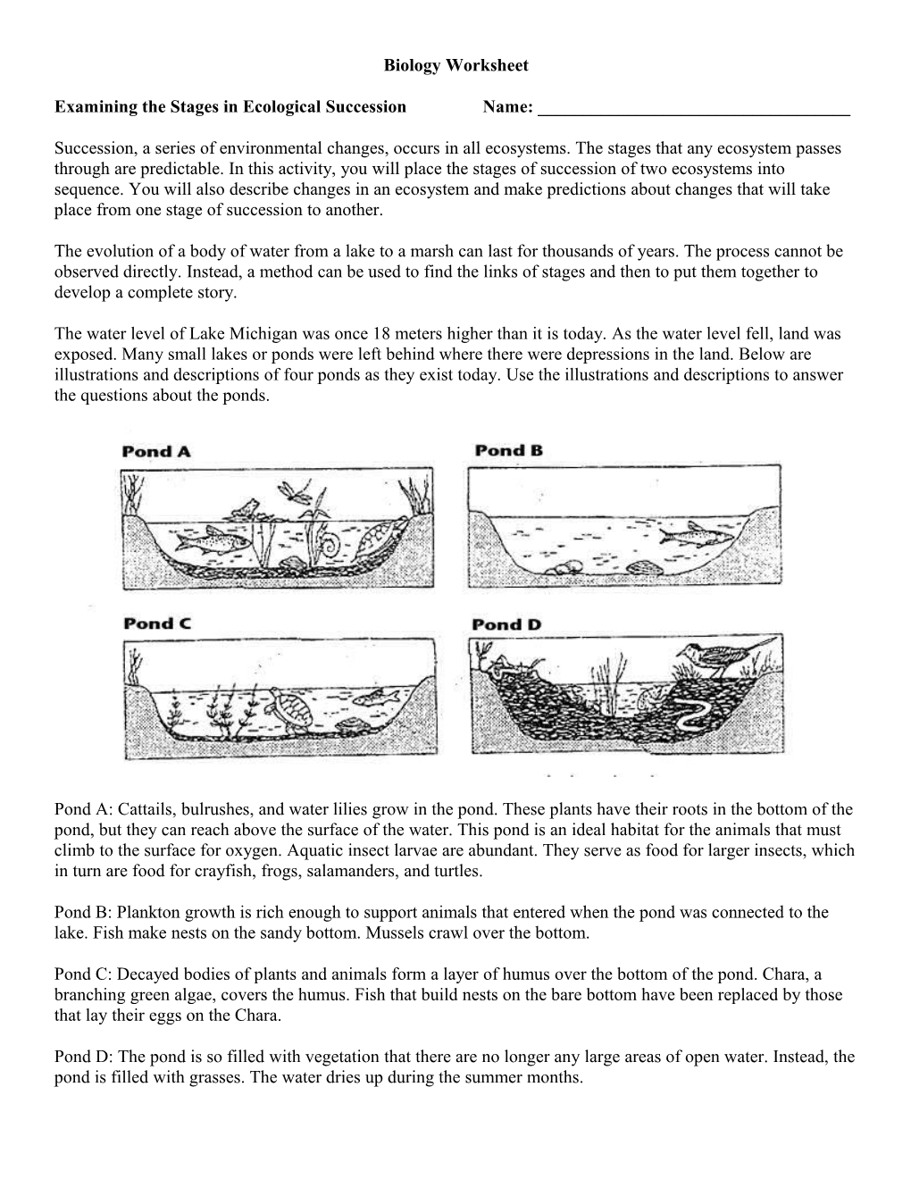 Examining the Stages in Ecological Succession Name: ______