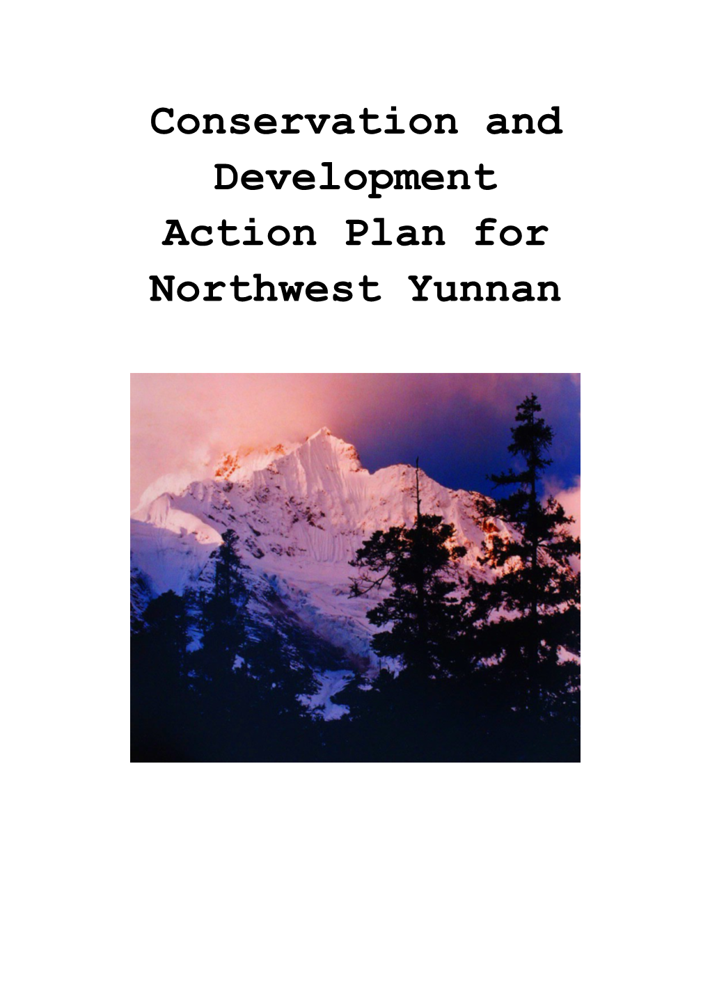 Action Plan for Northwest Yunnan