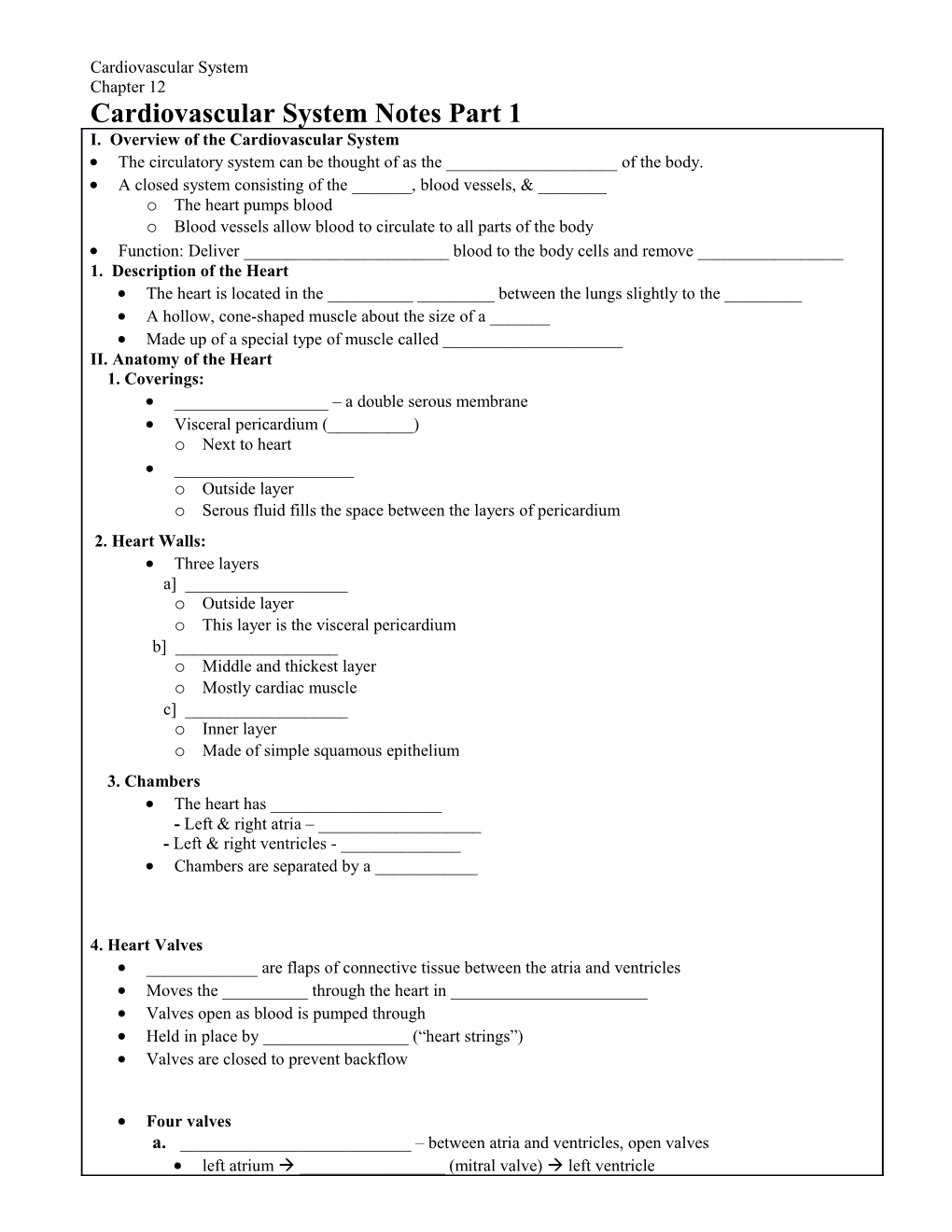 Cardiovascular System Notes Part 1