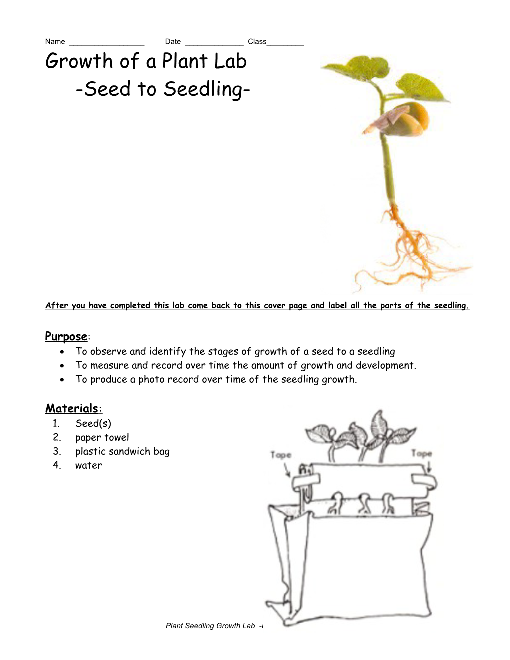 Growth of a Plant Lab