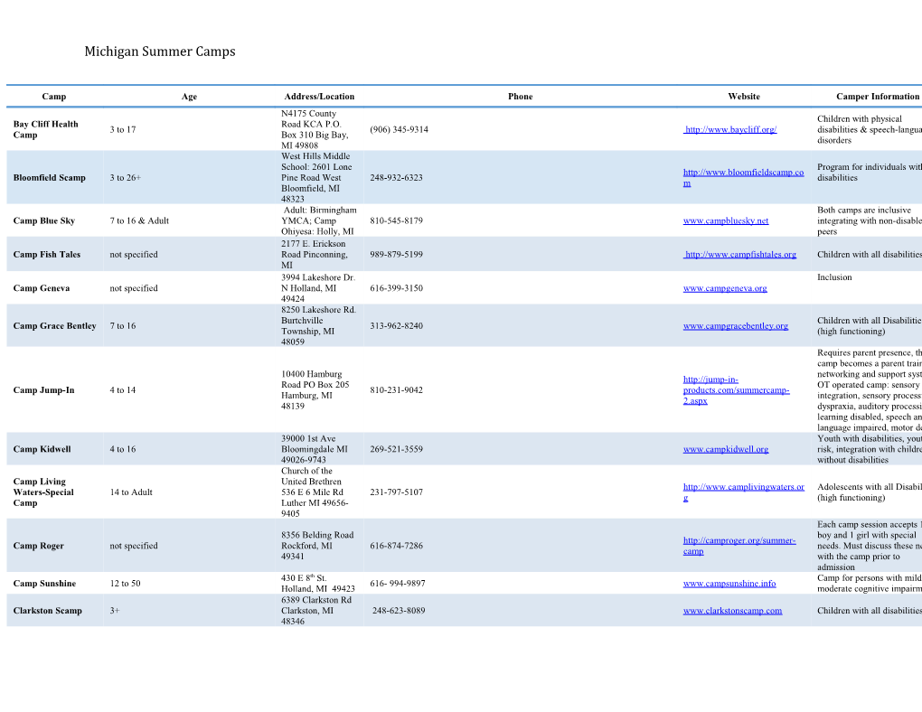 Michigan Summer Camps