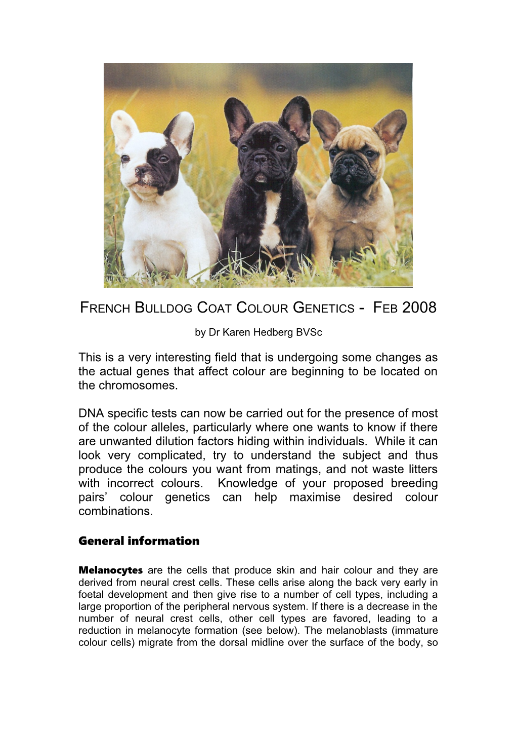 French Bulldog Coat Colour Genetics - Feb 2005