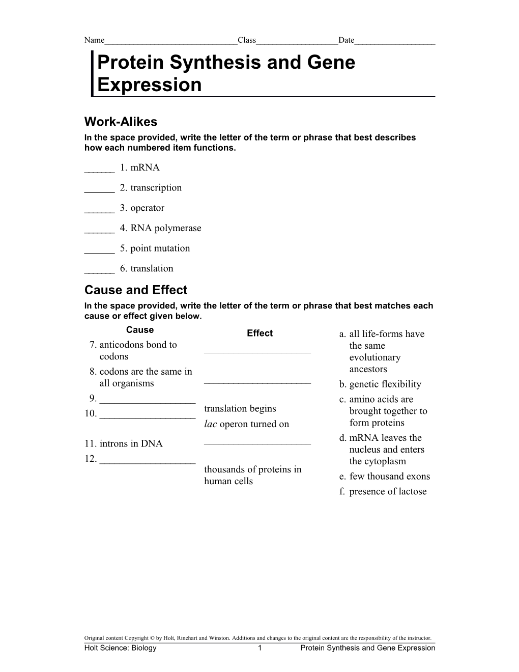 Protein Synthesis and Gene Expression