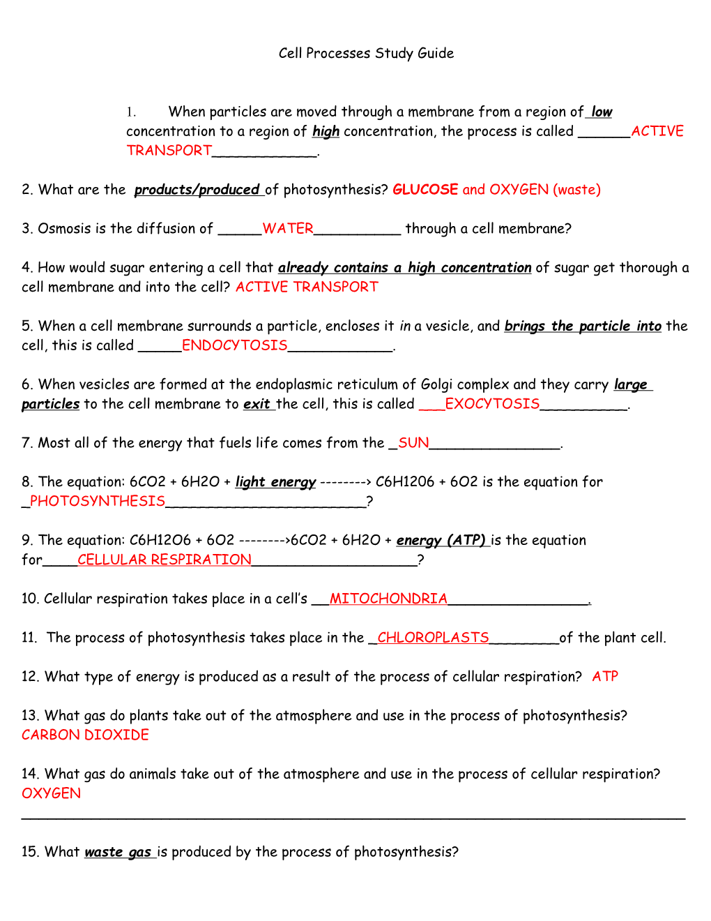 Cell Processes Study Guide