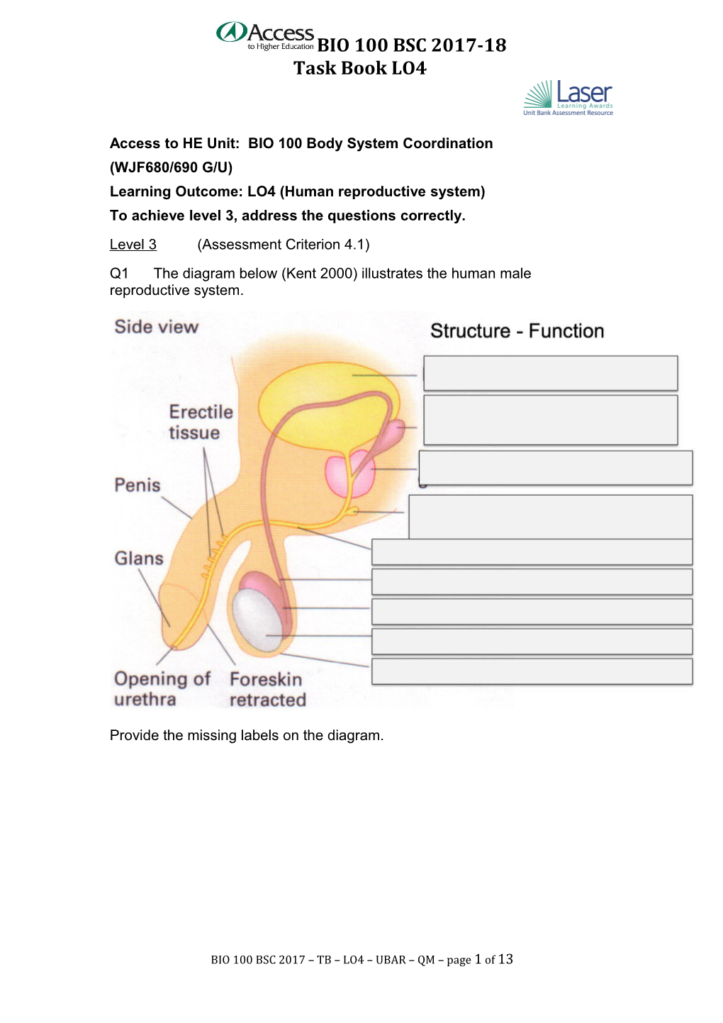 Bio 100 Bsc Tb Lo4 Ubar Qm