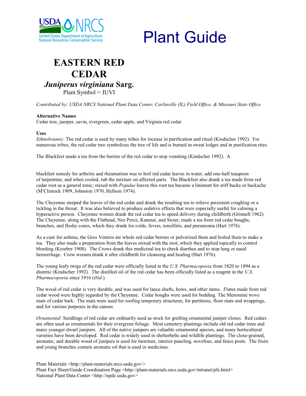 Eastern Red Cedar