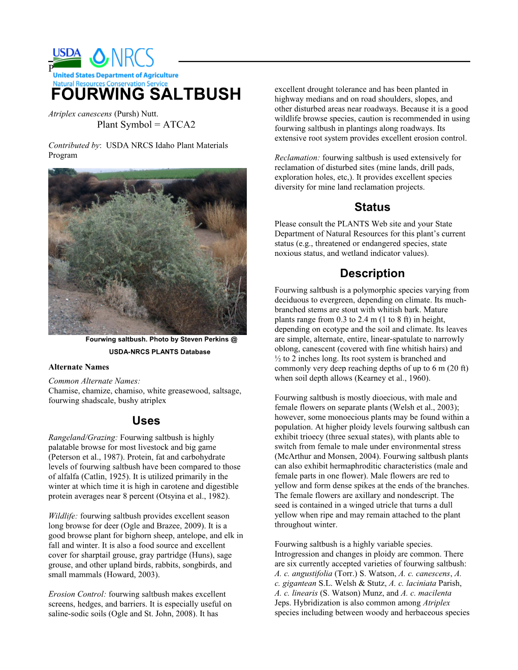 Plant Guide for Fourwing Saltbush (Atriplex Canescens)