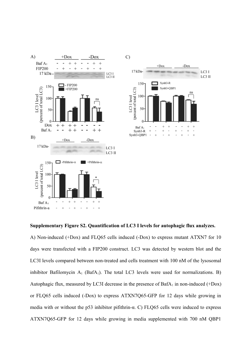 Supplementary Figure S1.Aggregation Analysis of ATXN7 in FLQ10 and FLQ65 Cells