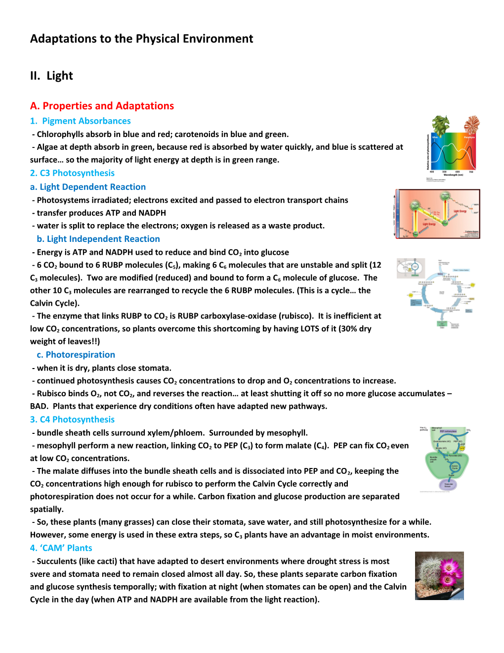 Adaptations to the Physical Environment