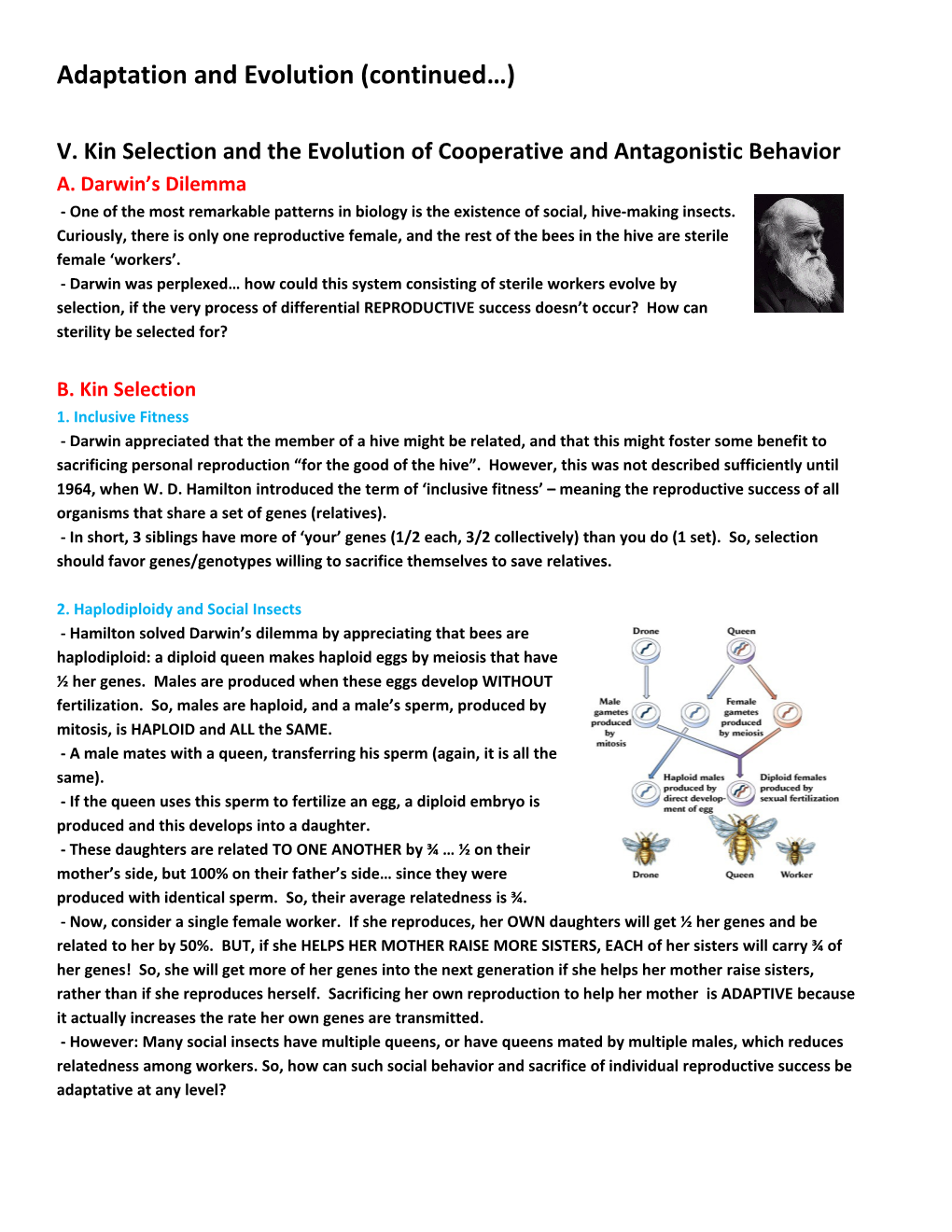 Adaptation and Evolution (Continued )