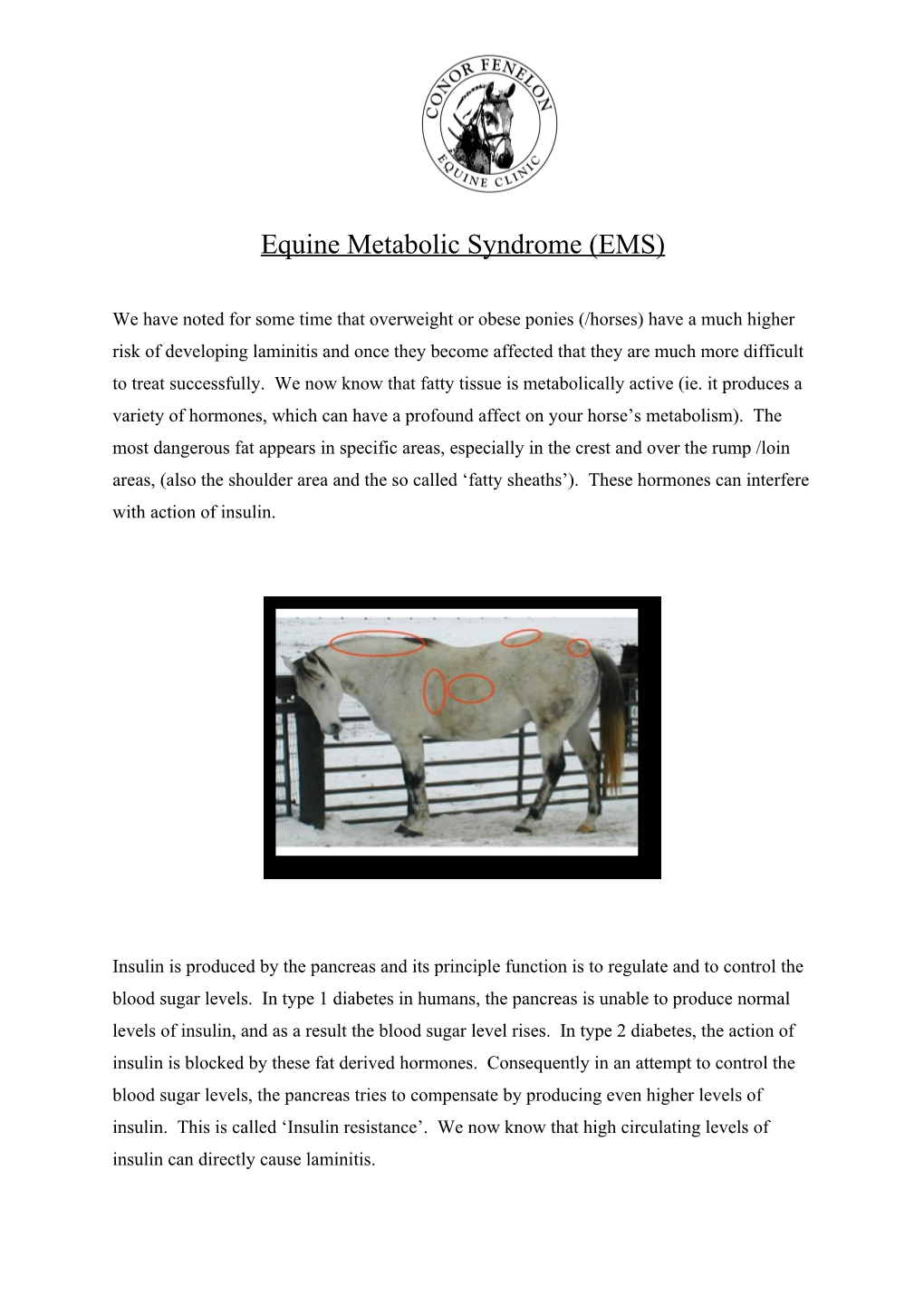 Equine Metabolic Syndrome (EMS)