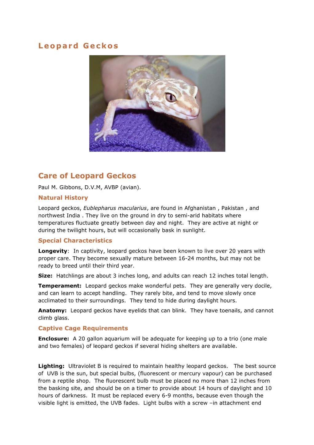 Leopard Geckos