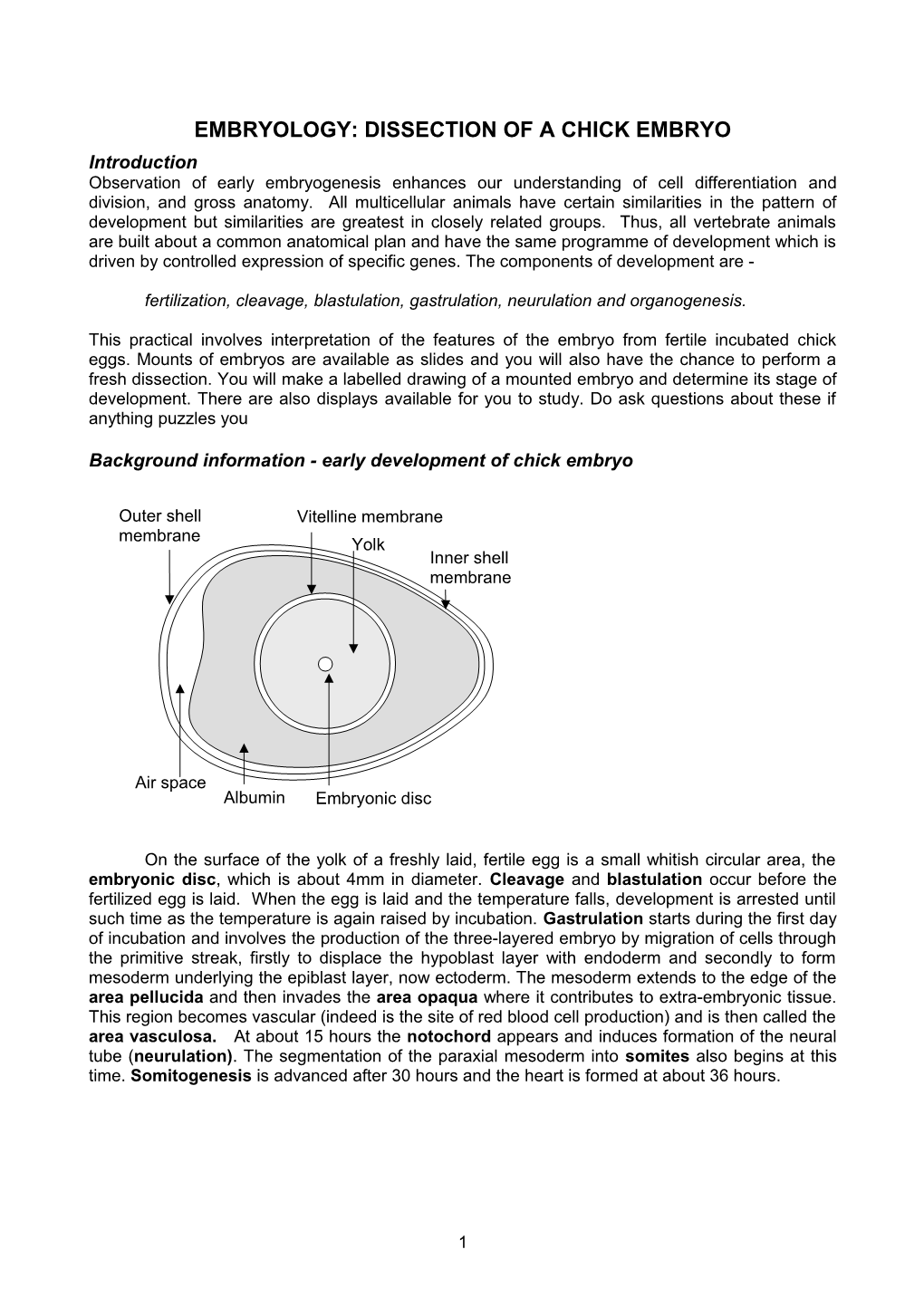 Embryology: Dissection of a Chick Embryo