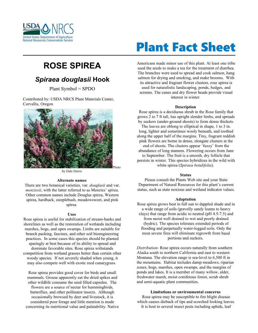 Rose Spirea Plant Fact Sheet