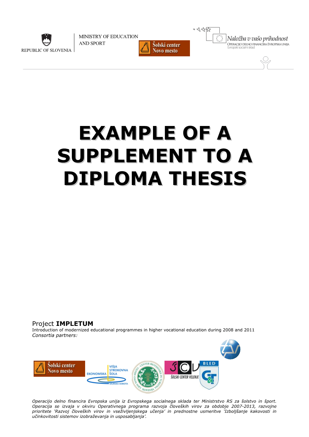 Example of a Supplement to a Diploma Thesis