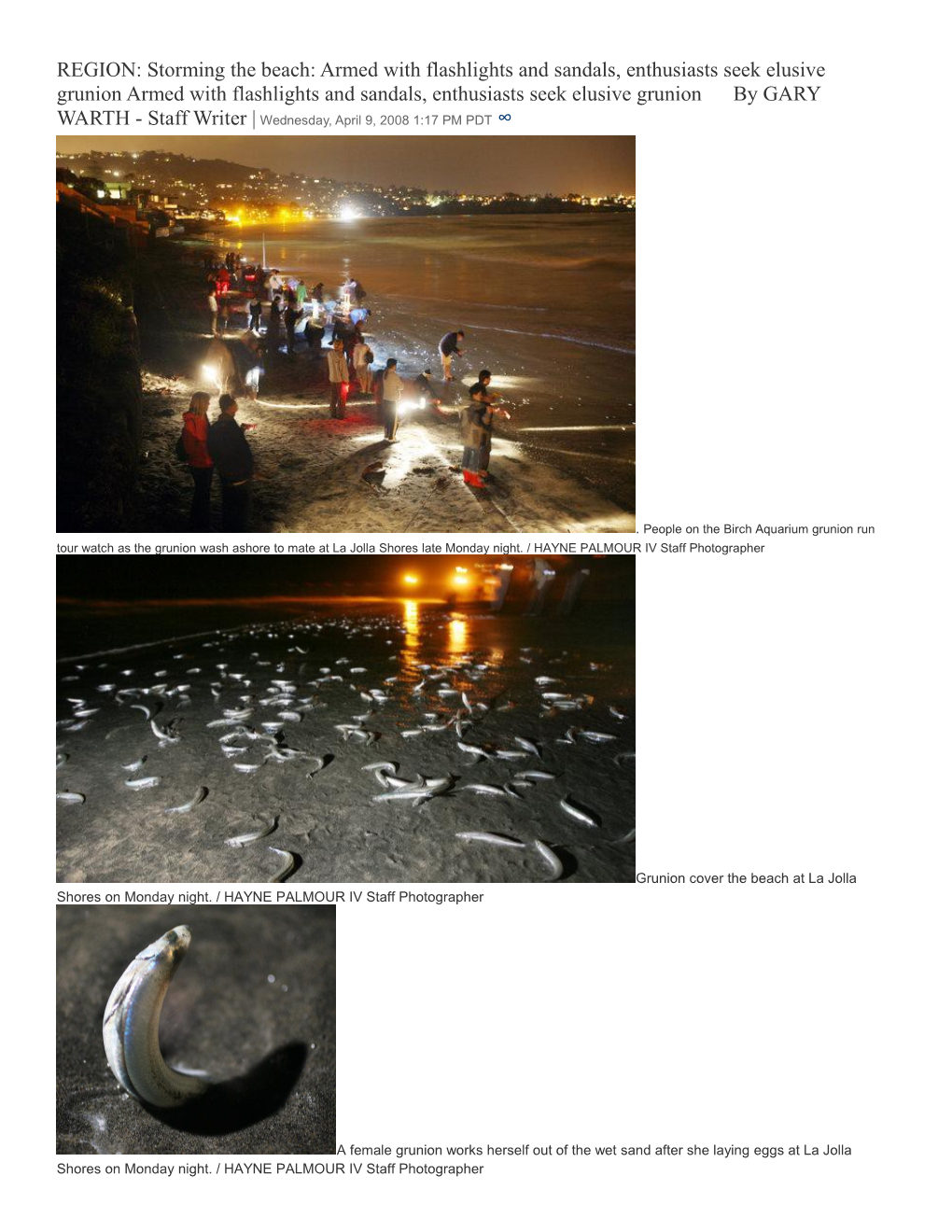REGION: Storming the Beach: Armed with Flashlights and Sandals, Enthusiasts Seek Elusive Grunion