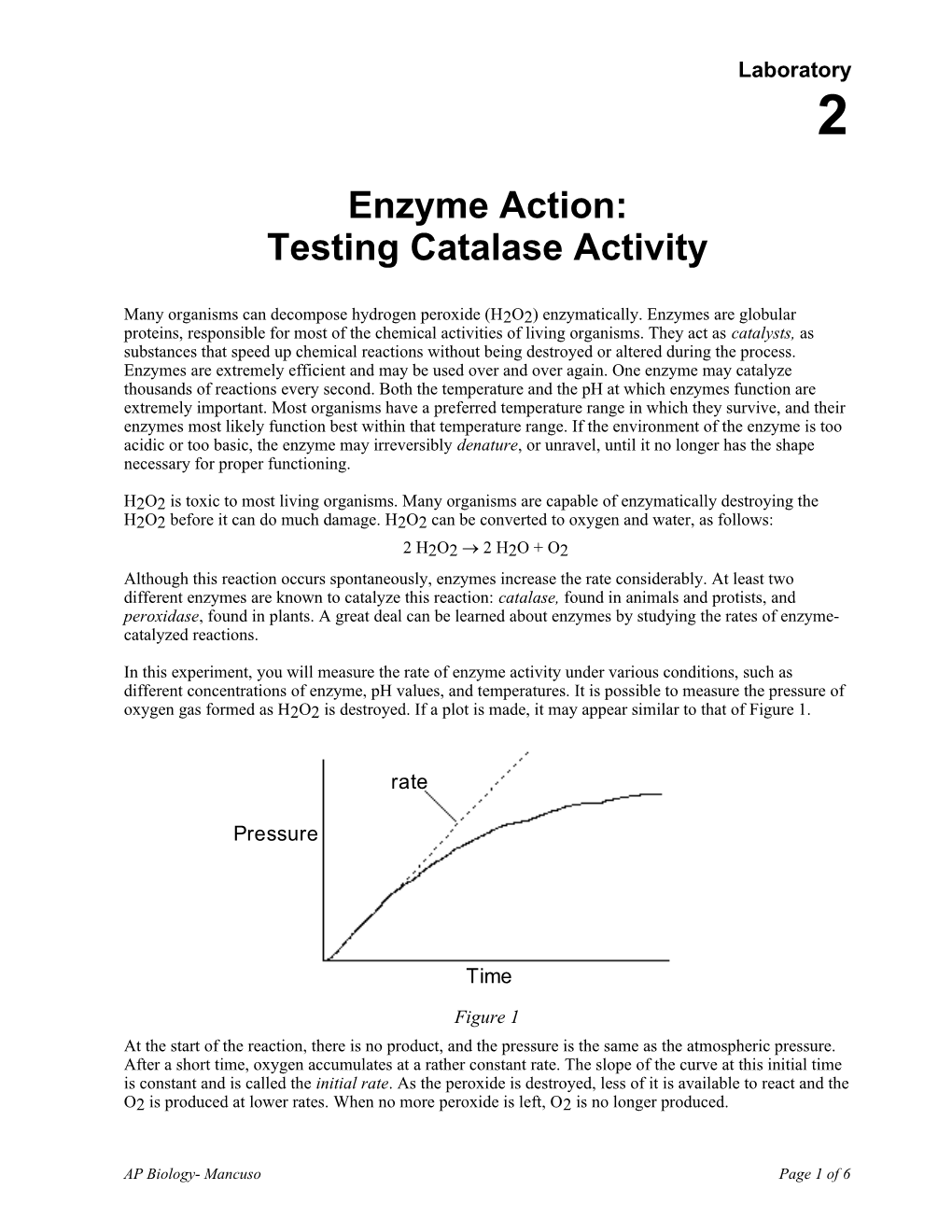 Lab 2: Enzyme Catalysis