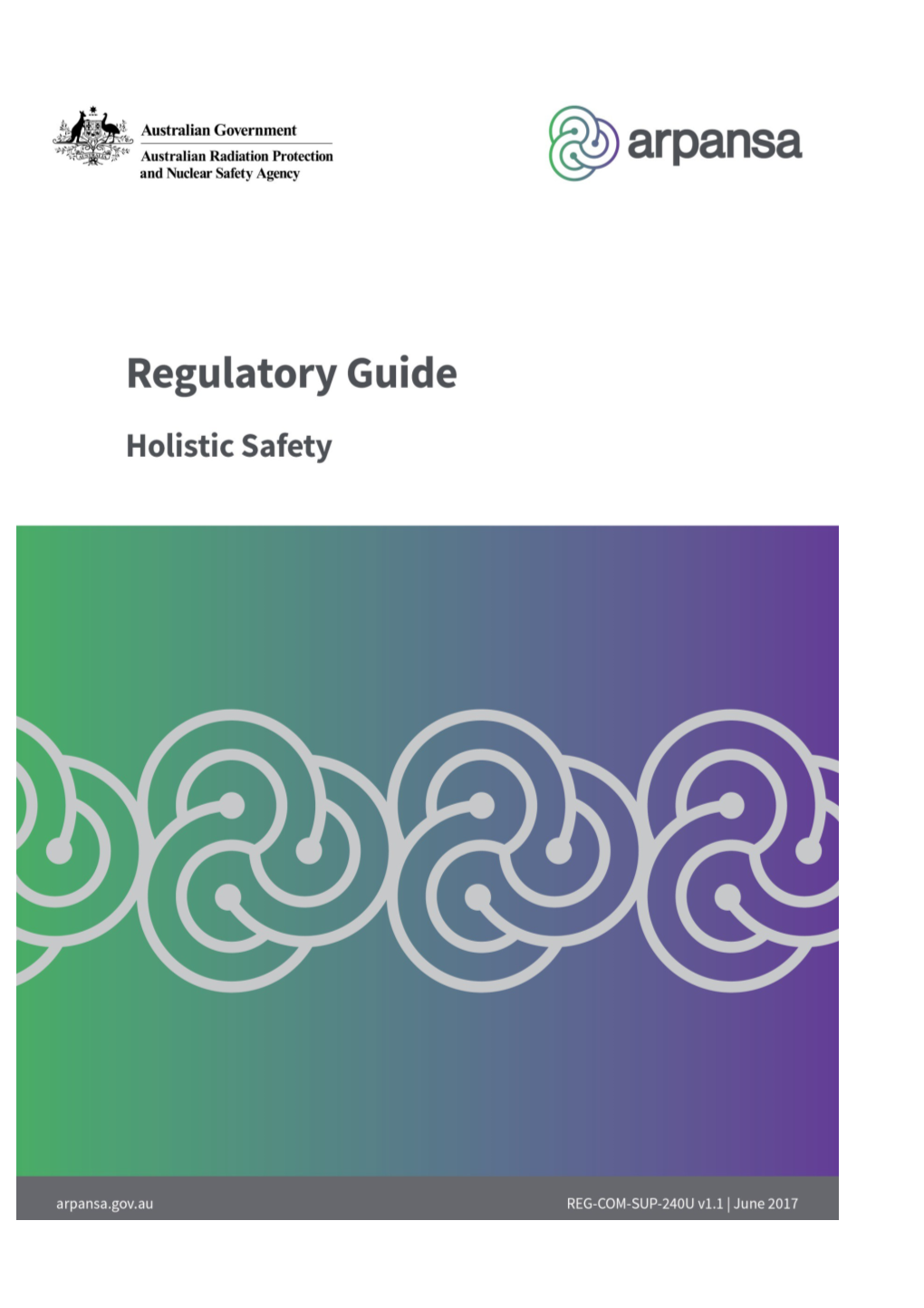 Regulatory Guide: Holistic Safety