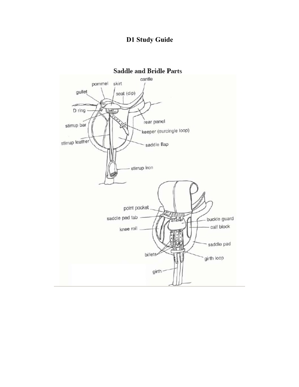 Reasons for Cleaning Tack