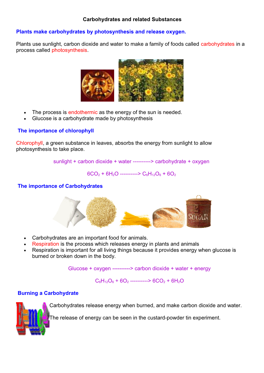 Topic 15 - Carbohydrates and Related Substances