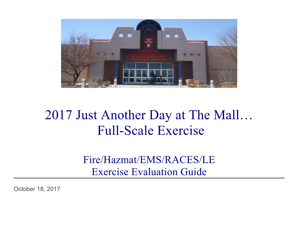 2017 Just Another Day at the Mall