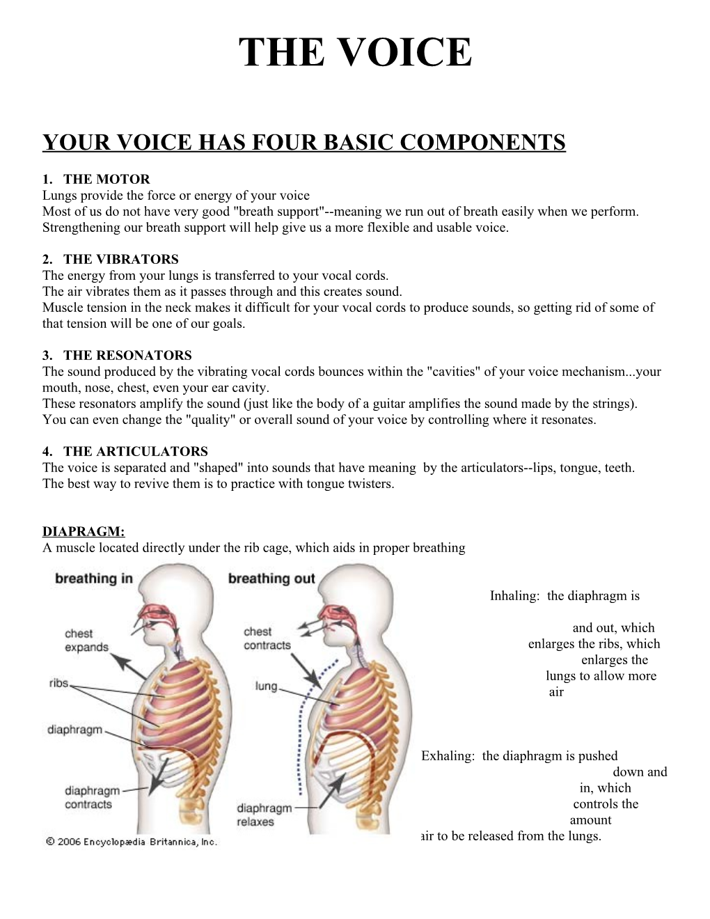 Your Voice Has Four Basic Components