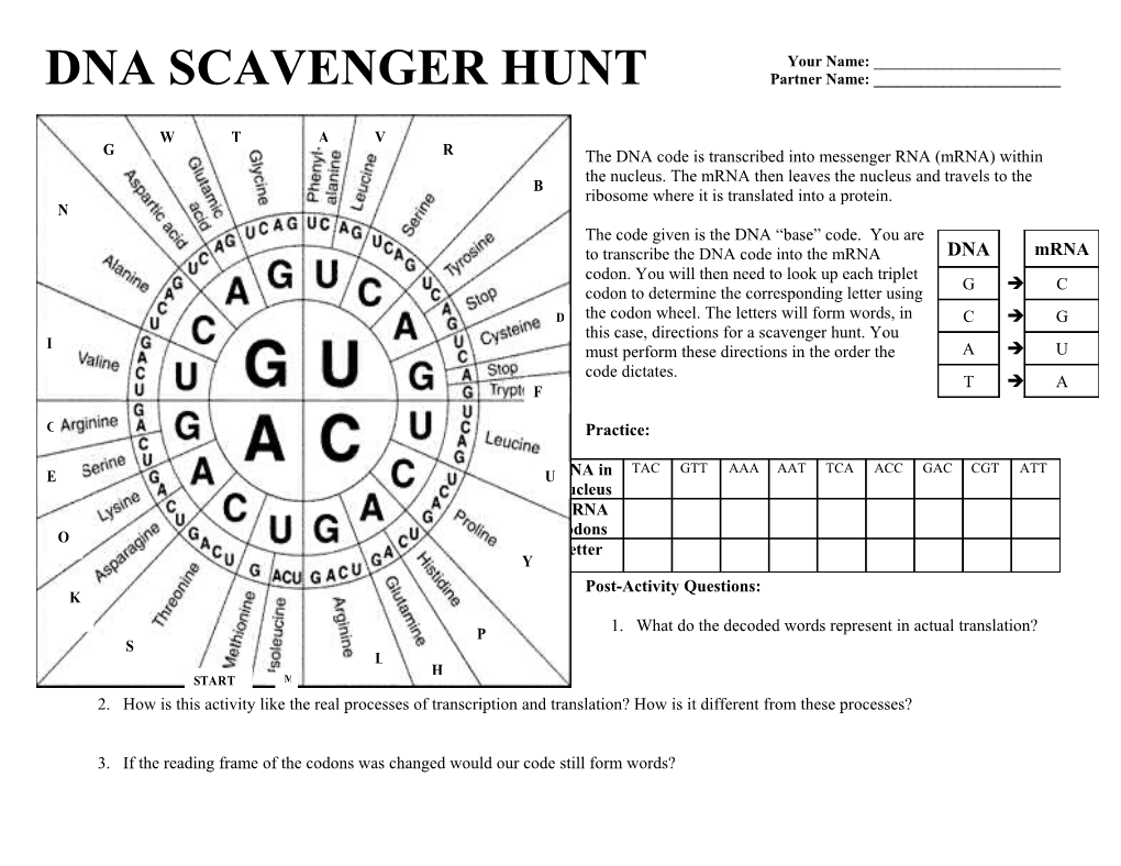 Post-Activity Questions