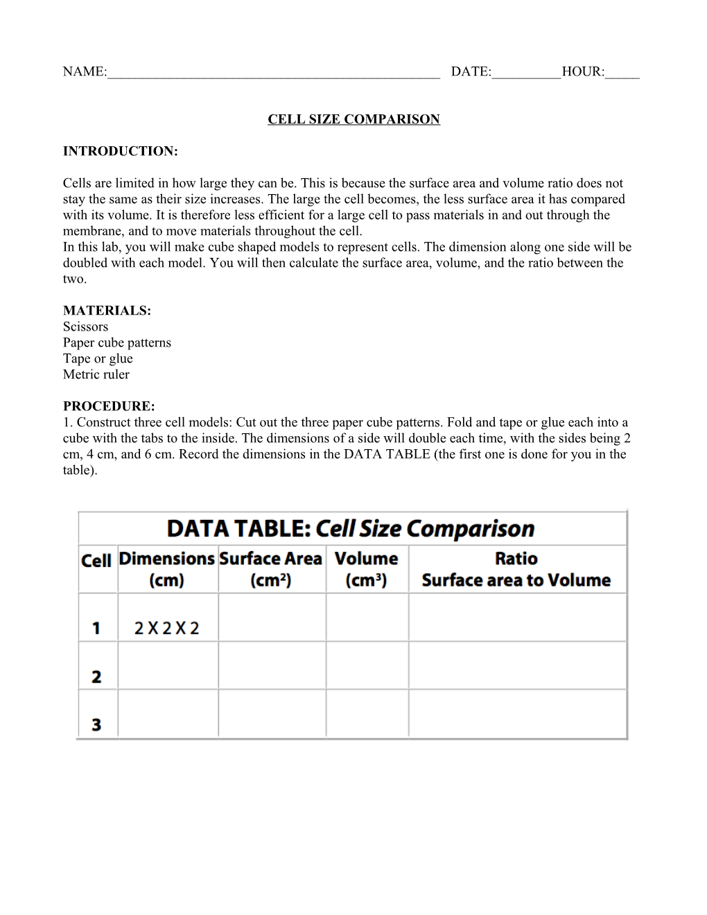Cell Size Comparison