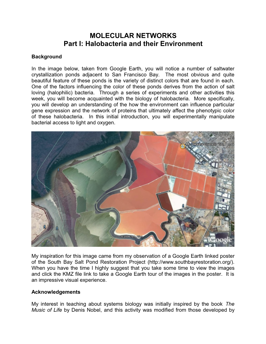 Part I: Halobacteria and Their Environment