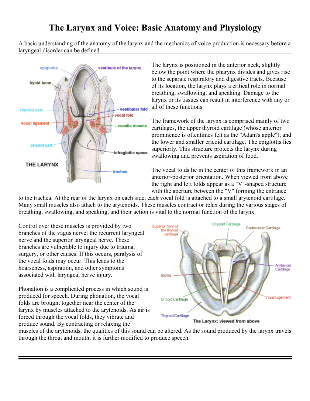 The Larynx and Voice: Basic Anatomy and Physiology