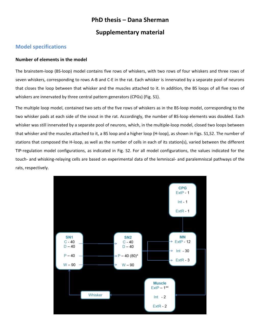 Phd Thesis Dana Sherman