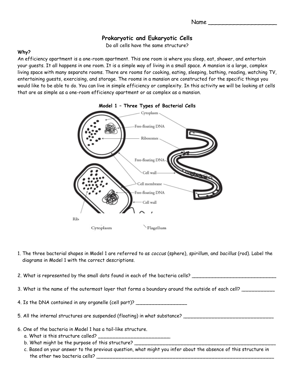 Prokaryotic and Eukaryotic Cells