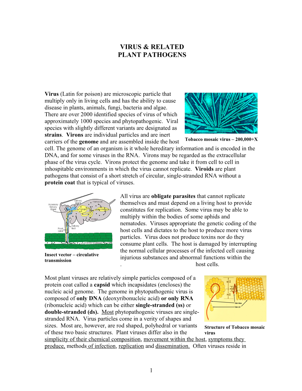 Viral and Viroidal Plant Pathogens