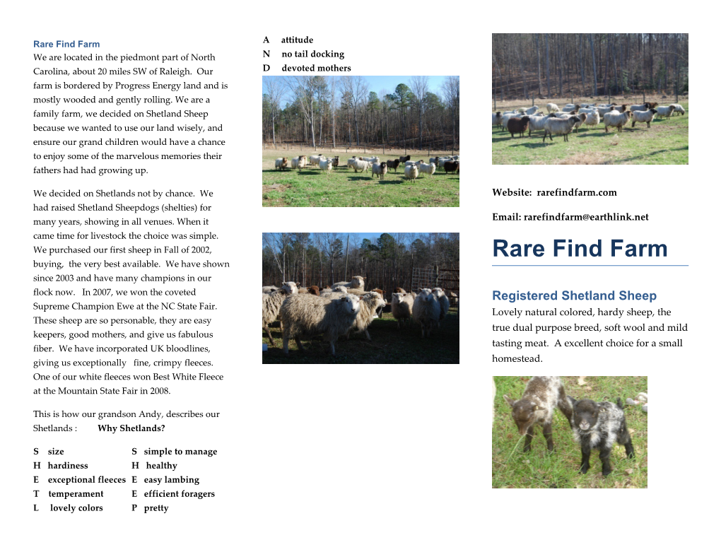 Rare Find Farm
