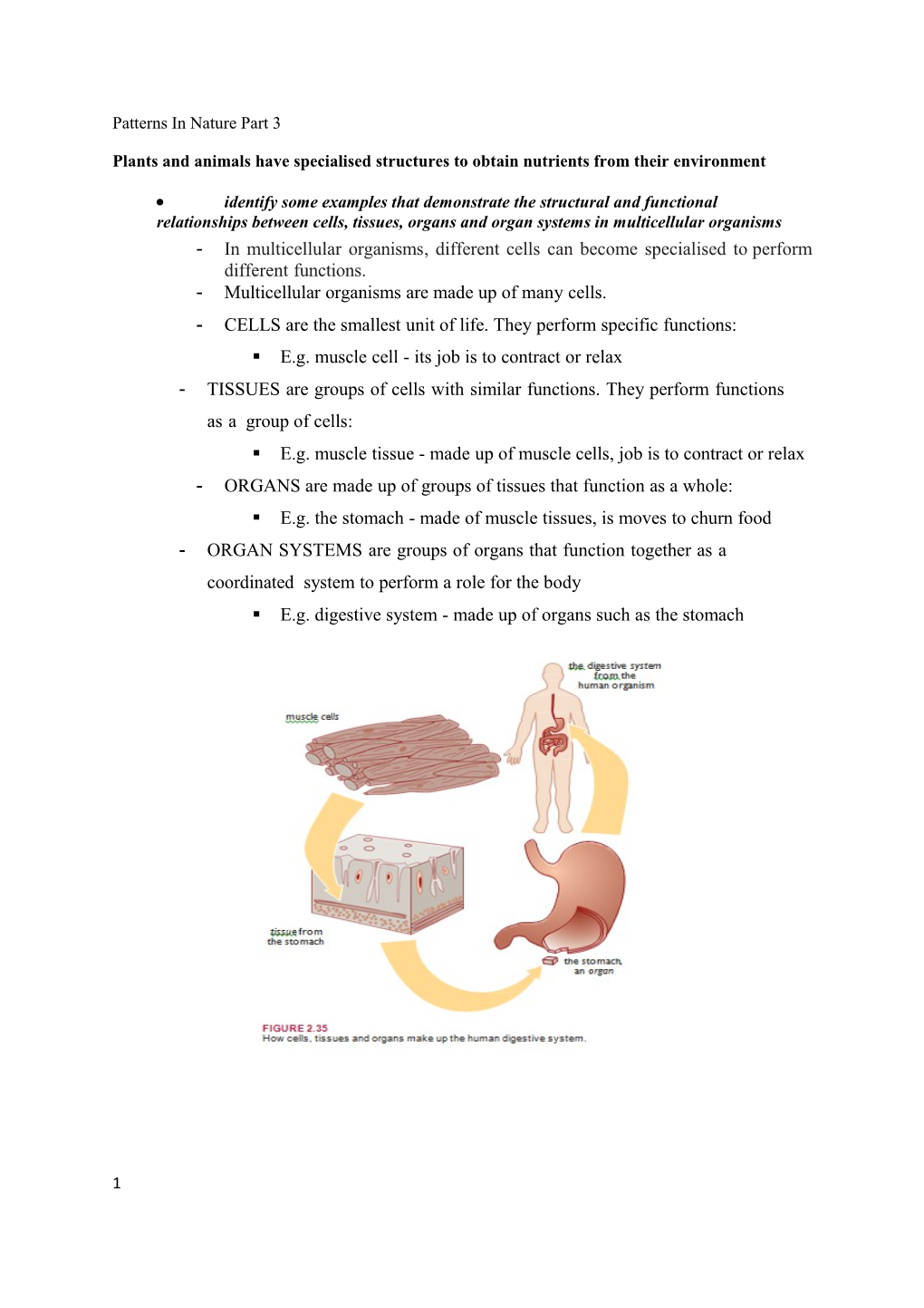 Plants and Animals Have Specialised Structures to Obtain Nutrients from Their Environment