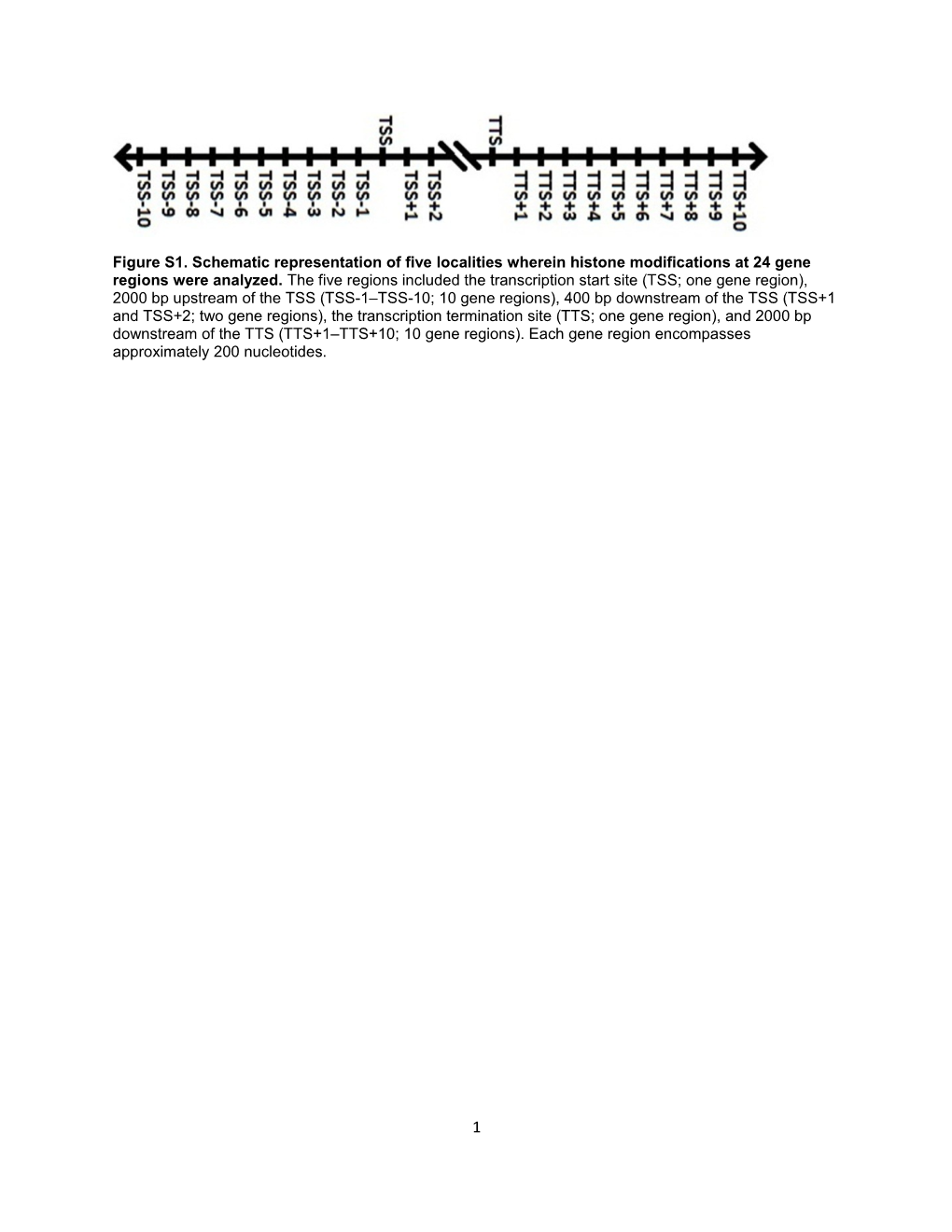 Figure S2- Flow Chart of Analyses Performed with CART*