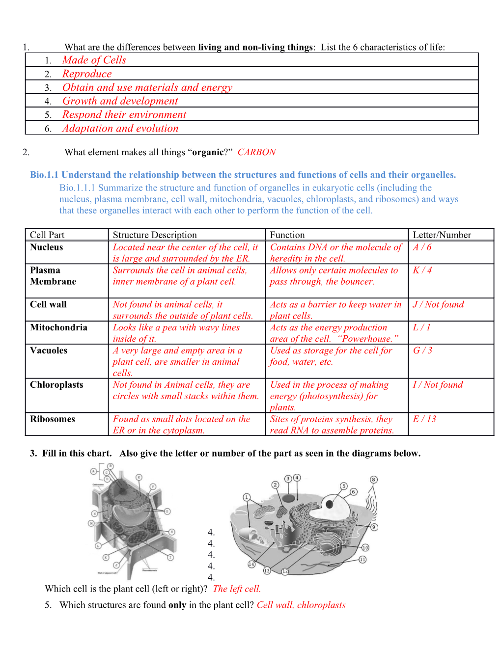 Obtain and Use Materials and Energy