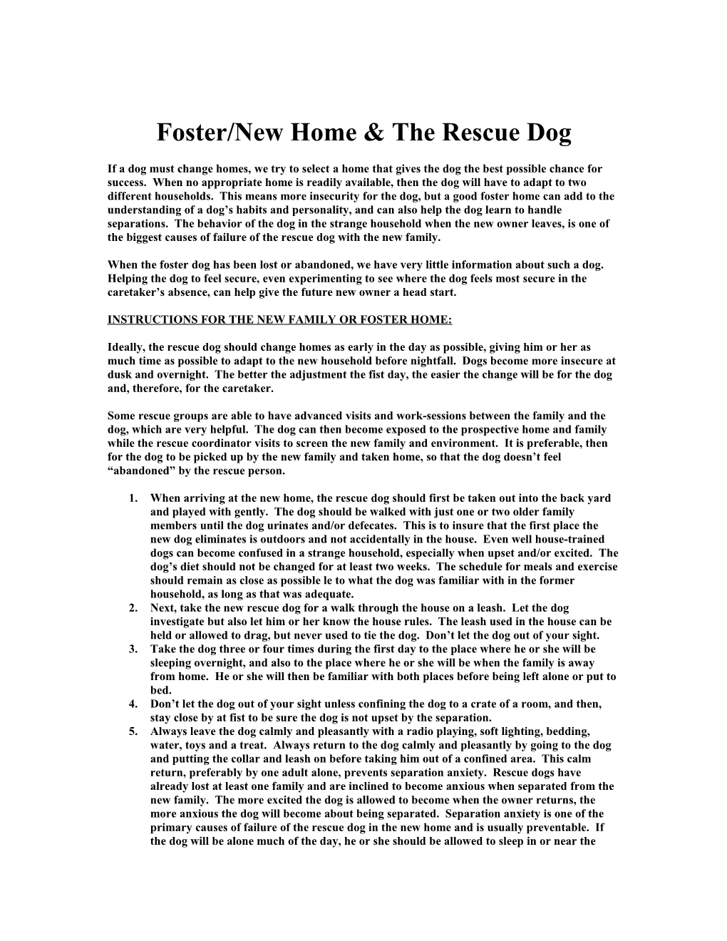 Foster/New Home & the Rescue Dog