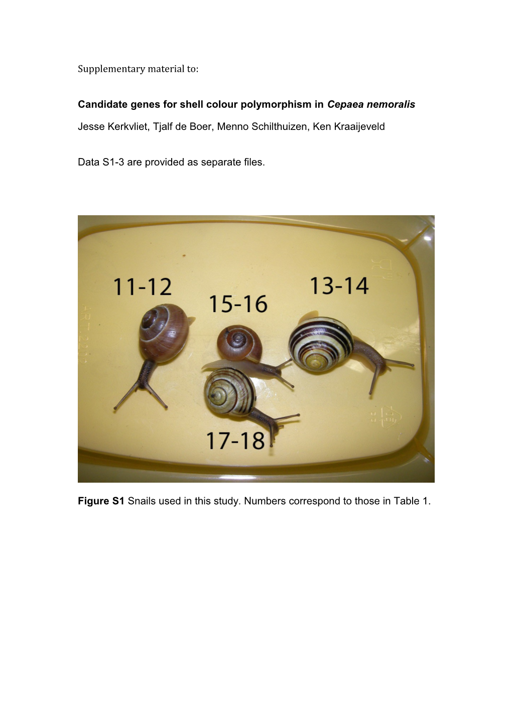 Candidate Genes for Shell Colour Polymorphism in Cepaea Nemoralis