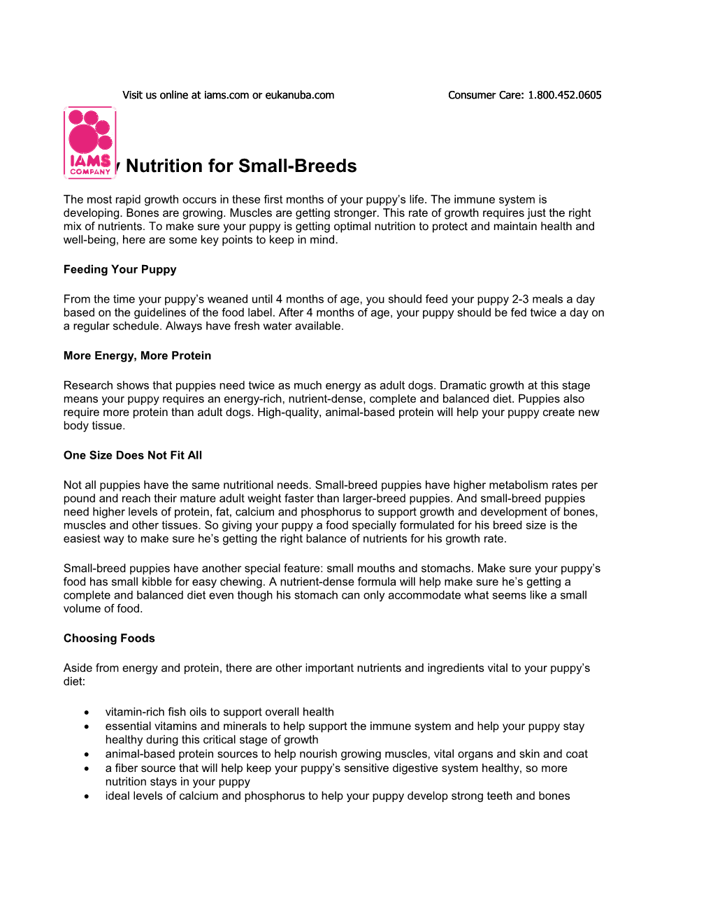 Puppy Nutrition for Small-Breeds