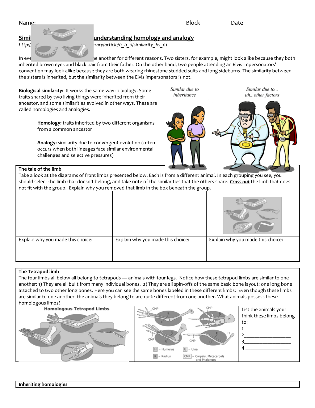 Similarities and Differences: Understanding Homology and Analogy