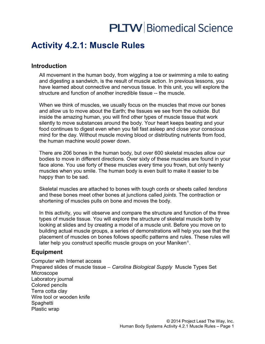 Activity 4.2.1: Muscle Rules