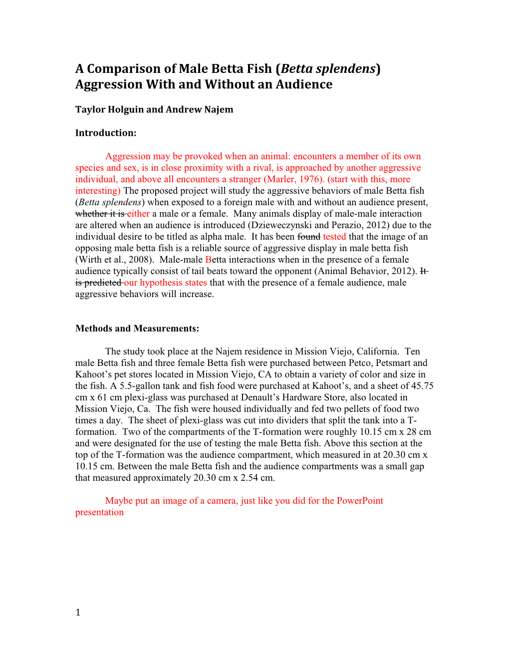 A Comparison of Male Betta Fish (Betta Splendens) Aggression with and Without an Audience