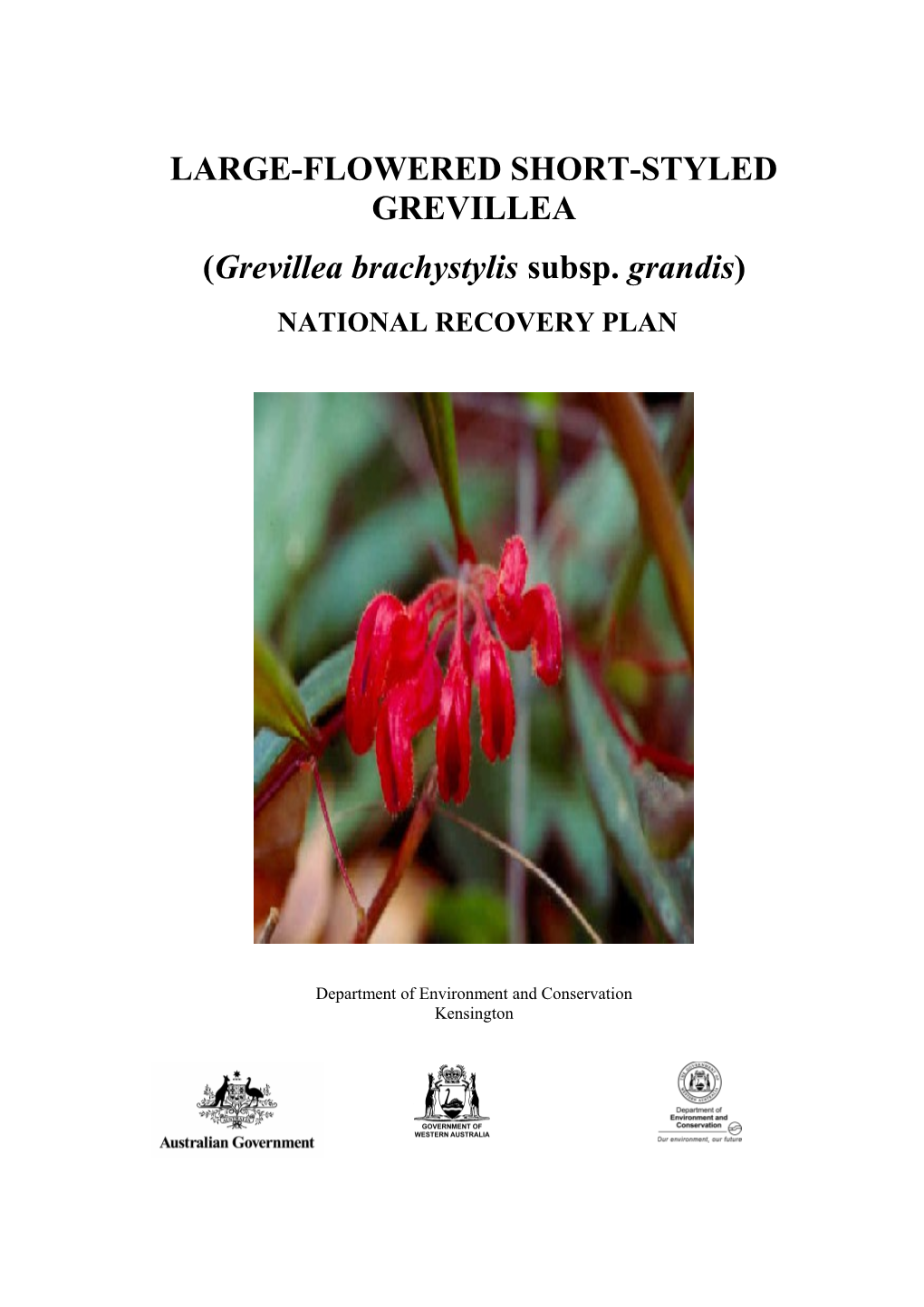 Large-Flowered Short-Styled Grevillea (Grevillea Brachystylis Subsp. Grandis) Interim Recovery