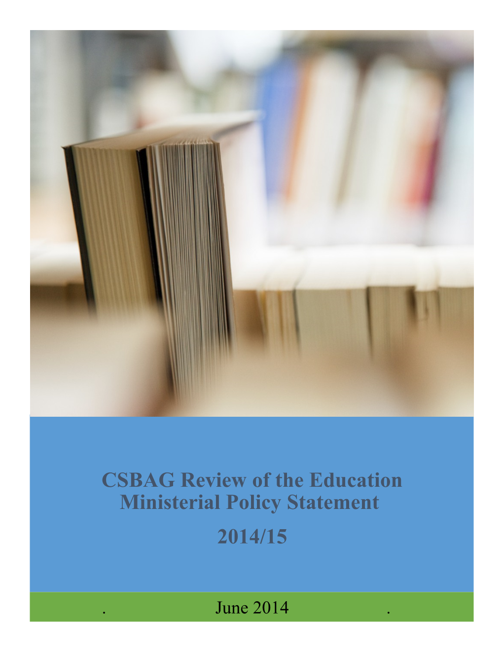 CSBAG Review of the Education Ministerial Policy Statement
