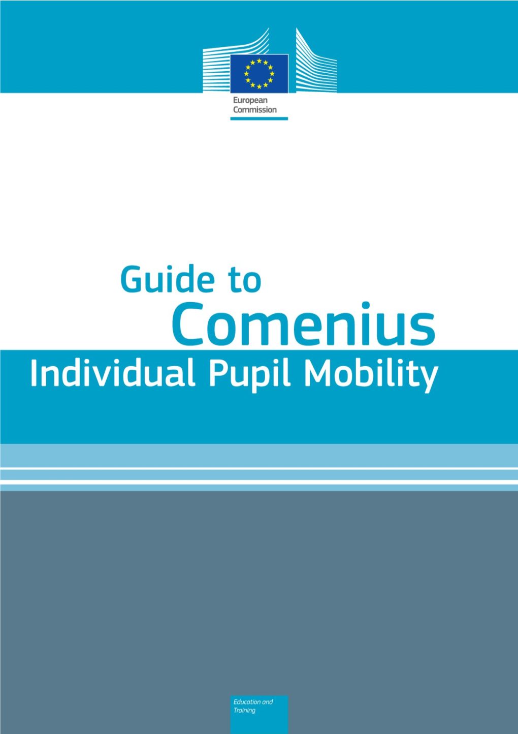 Guide to Comenius Individual Pupil Mobility