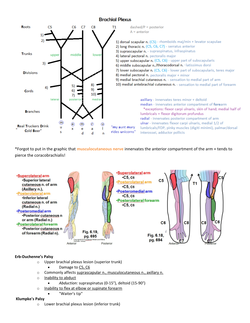 Erb-Duchenne S Palsy