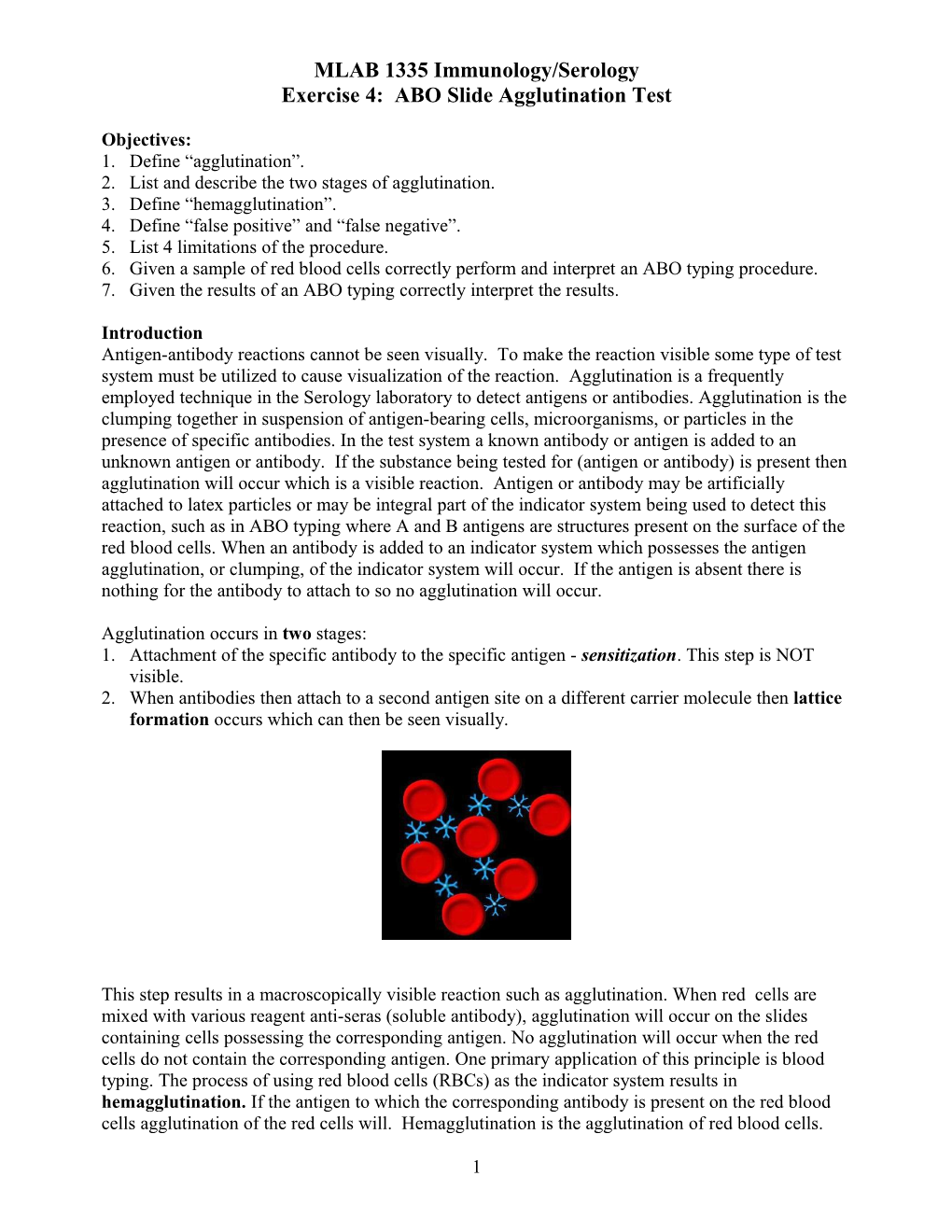 Exercise 4: ABO Slide Agglutination Test