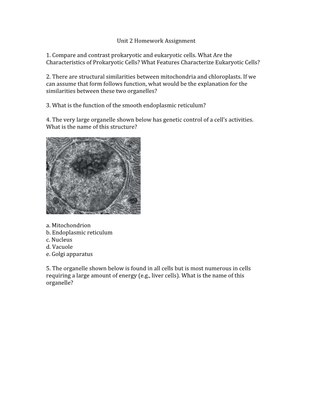 3. What Is the Function of the Smooth Endoplasmic Reticulum?